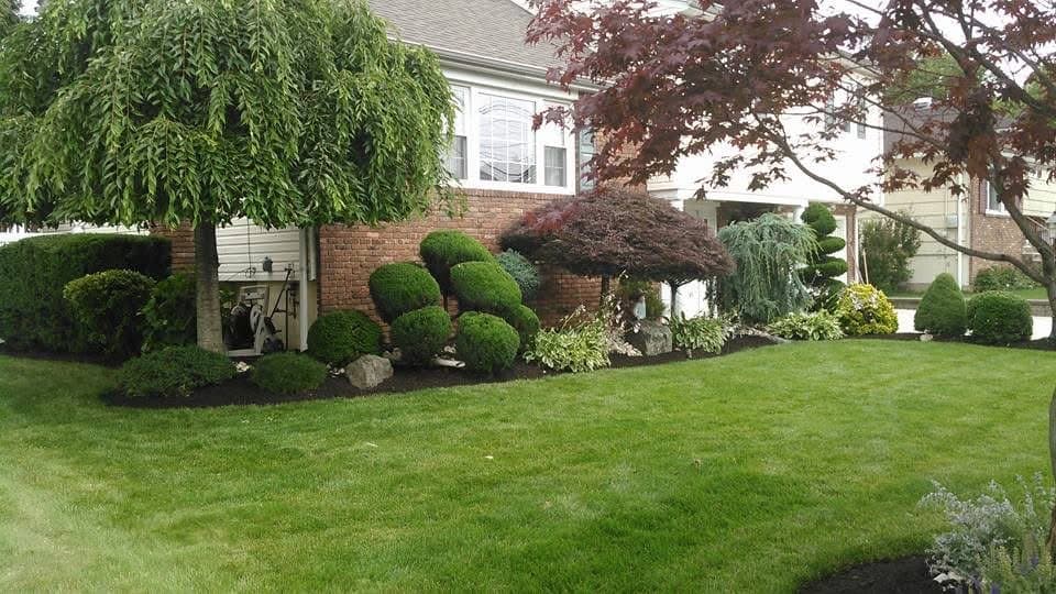 Lawn & Property Maintenance
