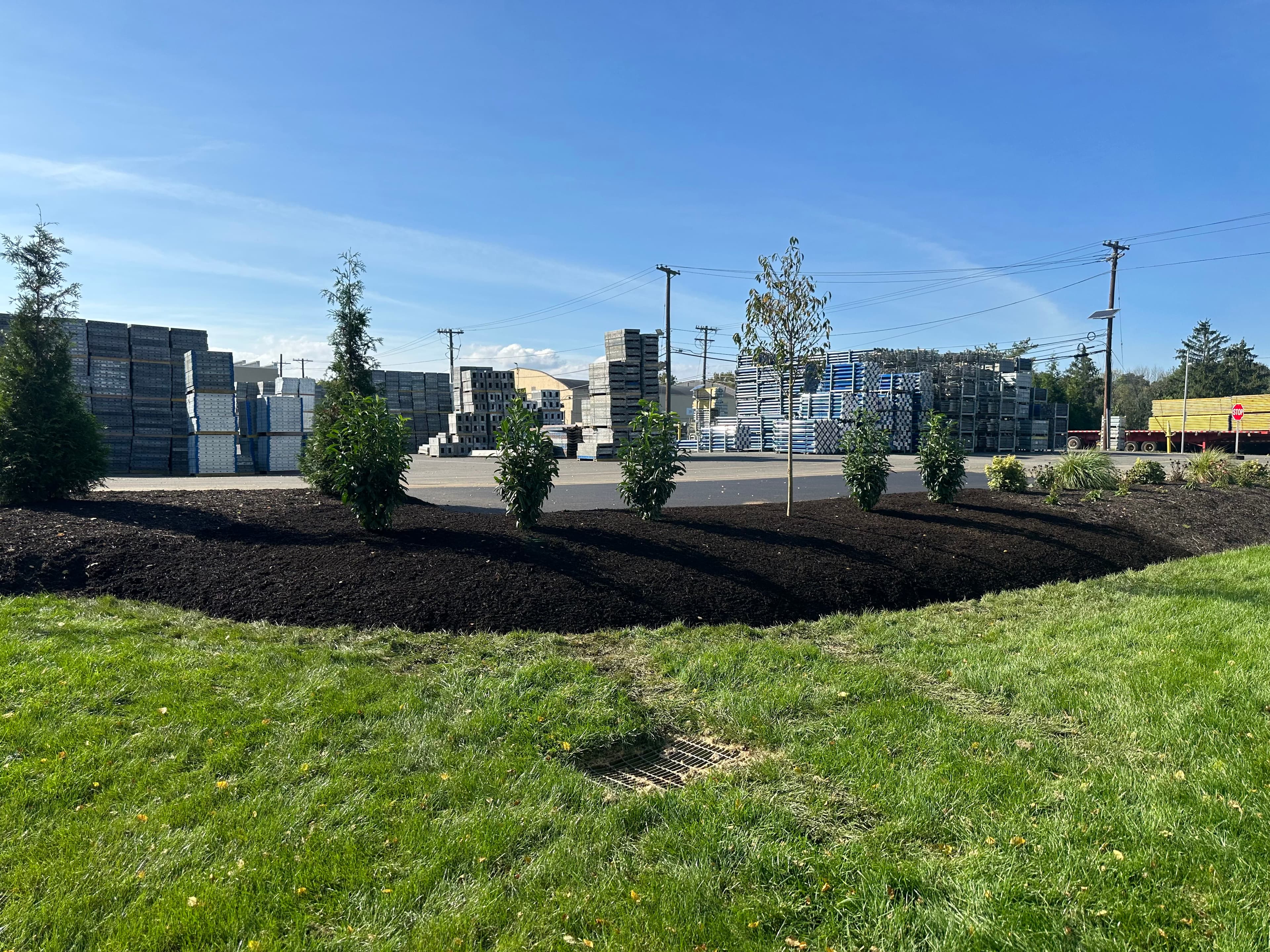 Lawn & Property Maintenance