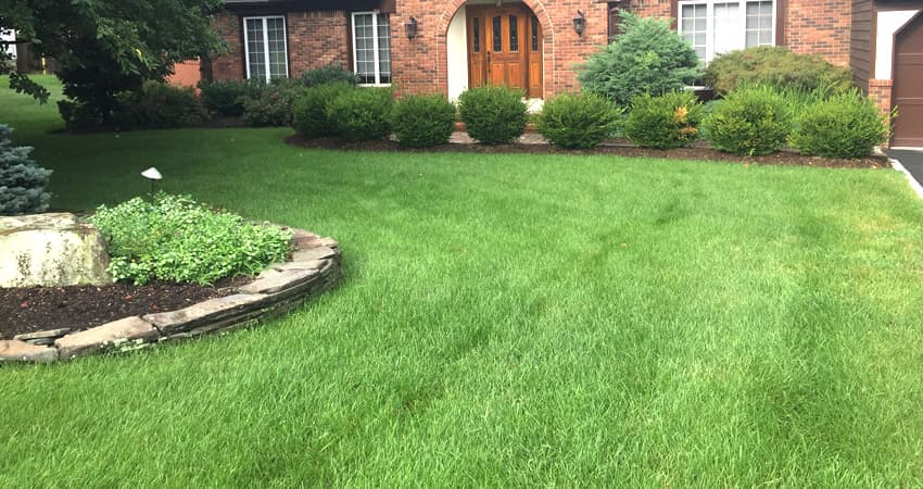Lawn & Property Maintenance