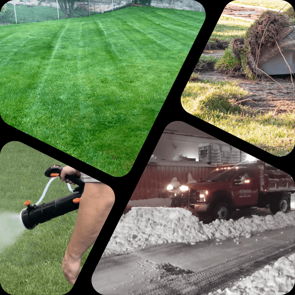 View the rest of our services